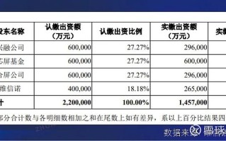 维信诺60亿收购：高负债下的馅饼还是陷阱？