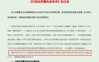 黑龙江国中水务董秘年薪43.8万元 被罚175万元