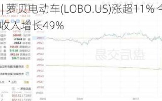 美股异动 | 萝贝电动车(LOBO.US)涨超29% 预计今年全年收入将同比增长80%