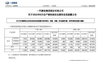 一汽解放:验资报告