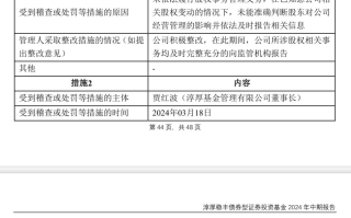 淳厚基金狂揽8张罚单之后 推进股权整改