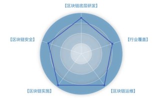 区块链上链数据