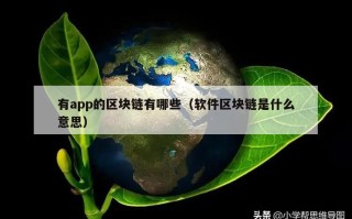 有app的区块链有哪些（软件区块链是什么意思）