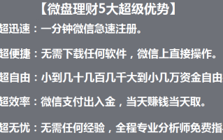 微盘微交易的解释是什么？这种解释在投资领域有哪些局限性？