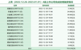 股票定增的定价机制在市场中有什么特殊意义？这种定价方式如何影响公司的融资效率？