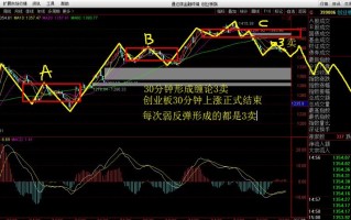 新铝时代:中信证券股份有限公司关于公司首次公开发行股票并在创业板上市的发行保荐书