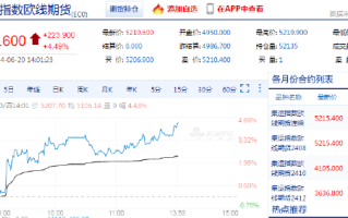 集运欧线主力合约日内涨幅扩大至10%