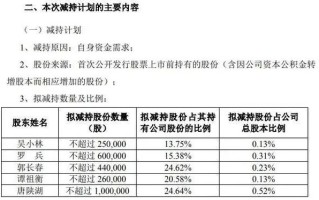 万马科技:关于特定股东减持计划的提示性公告