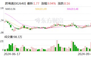 昔日跨境电商一哥 为何还不起800万元？