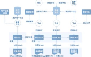 区块链管理的数据存放在