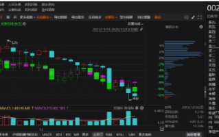 恒久科技对2019-2022年年度报表进行更正,股民索赔开启