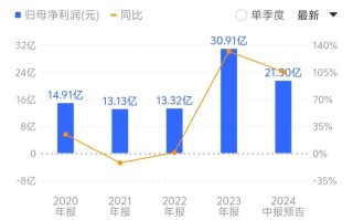 青岛双星:青岛双星股份有限公司拟发行股份及支付现金购买资产涉及的青岛星微国际投资有限公司股东全部权益价值项目资产评估报告