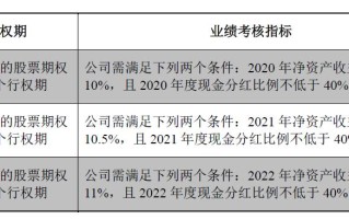 国晟科技:2024年限制性股票与股票期权激励计划（草案）