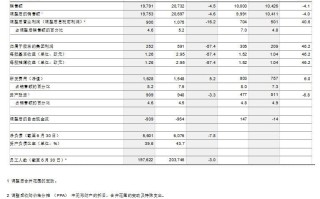 大陆集团上半年营收净利双双下滑 中国区身陷前员工诉讼旋涡