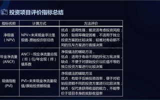 大公评级的评估标准是什么？这种评级对投资者的决策有何参考价值？