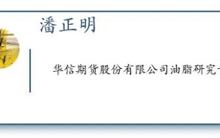 长线豆的投资策略有哪些？这些策略在不同市场条件下如何应用？