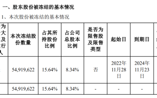 德尔未来:关于第二次回购公司股份方案的公告