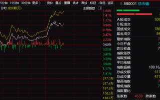 Rimini Street, Inc.盘中异动 下午盘大幅下跌5.15%