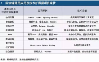 区块链在国际融资中的短板与挑战