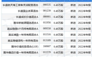 长盛基金王宁：关注两大主线 延伸价值复利