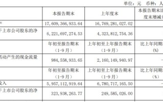 中科曙光前三季度营收80.41亿元