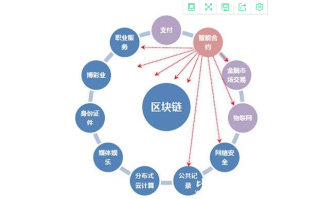 区块链财富路径怎么选，一份全面的指南