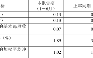 六九一二:经注册会计师鉴证的非经常性损益明细表