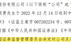 这家个人系公募淳厚基金竟连接8张罚单！整改期已过，问题卡在了哪里？