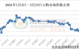 豆粕期货品种多样性如何影响投资者选择？这种多样性对市场流动性有何作用？