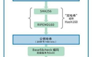 期权股与区块链的区别