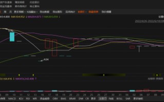 中孚环境资金占用曝光！散户和定增投资者均可索赔