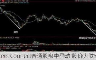 Silicom电信盘中异动 早盘急速下挫5.00%