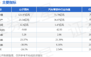 山子高科:关于股东及其母公司司法重整的提示性公告