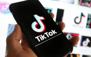 各州起诉TikTok