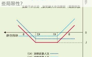 期货市场的多头策略如何运作？这种策略有哪些风险和局限性？