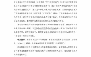 岭南股份:关于无法按期归还临时补流募集资金的公告