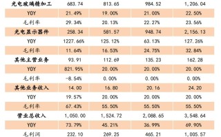 长信科技:芜湖长信科技股份有限公司2024年限制性股票激励计划管理办法