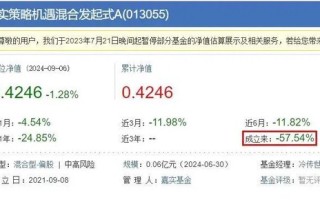 嘉实基金自食苦果！旗下基金清盘，自持75%仍难逃57.53%亏损