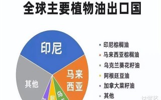 印尼棕榈油levy的含义是什么？这种levy如何影响市场价值？