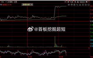 宏盛华源（601096）盘中异动 股价振幅达11.36%  上涨9.63%（09-19）