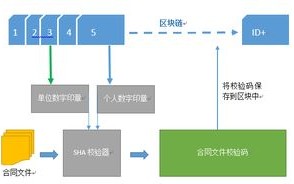 区块链的建设流程