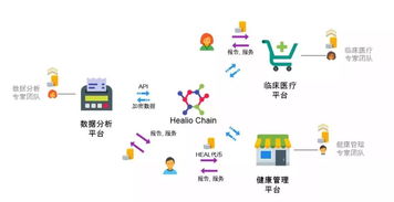 区块链行业女性人数现状及建议-第1张图片-领航者区块链资讯站