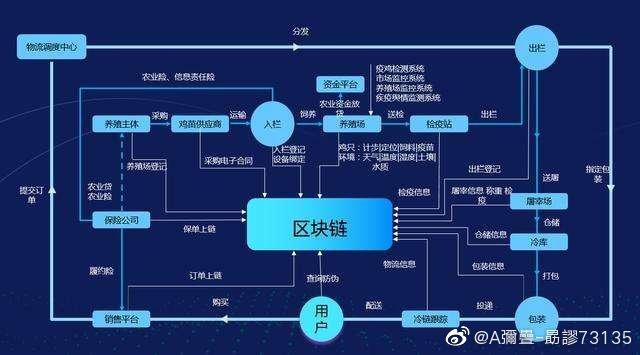 区块链与夸克链的区别-第1张图片-领航者区块链资讯站