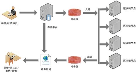 区块链与农业结合的论文-第1张图片-领航者区块链资讯站