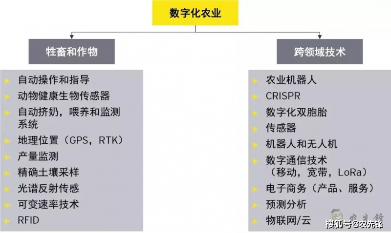 区块链农产品创新创业计划书-第1张图片-领航者区块链资讯站