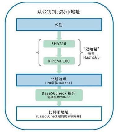 期权股与区块链的区别-第1张图片-领航者区块链资讯站