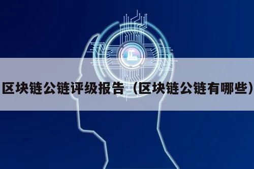 区块链公链评级报告（区块链公链有哪些）-第1张图片-领航者区块链资讯站