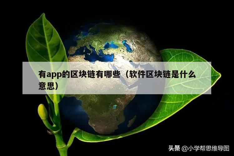 有app的区块链有哪些（软件区块链是什么意思）-第1张图片-领航者区块链资讯站