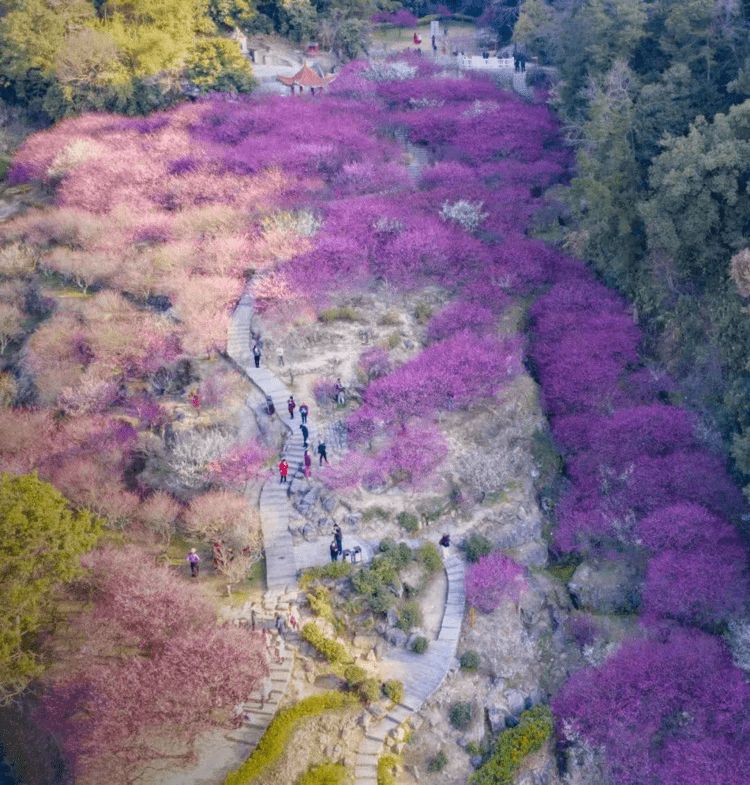 中信建投首席策略陈果点评港股大涨：“与世界一起，重估中国资产”-第2张图片-领航者区块链资讯站