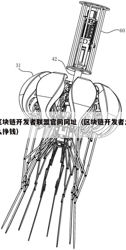 区块链开发者联盟官网网址（区块链开发者怎么挣钱）-第1张图片-领航者区块链资讯站